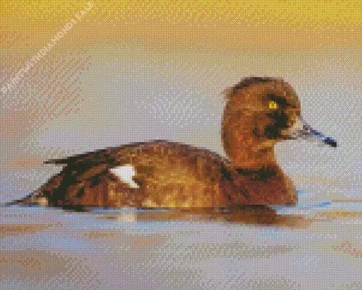 Tufted Duck Bird Diamond Painting