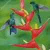 Violet Capped Hummingbird Couple Diamond Painting