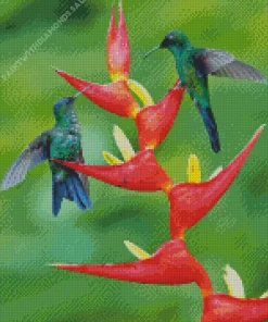 Violet Capped Hummingbird Couple Diamond Painting