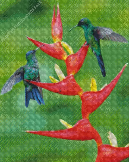 Violet Capped Hummingbird Couple Diamond Painting