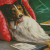 A bachelors Dog By Cassius Diamond Paintings