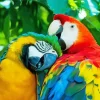 A Couple Of Colorful Parrots Diamond Painting