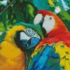 A Couple Of Colorful Parrots Diamond Painting