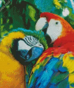 A Couple Of Colorful Parrots Diamond Painting