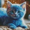 Adorable Grey Baby Cat With Blue Eyes Diamond Painting