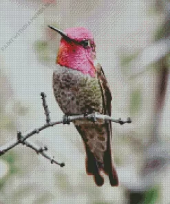 Aesthetic Annas Hummingbird Diamond Painting