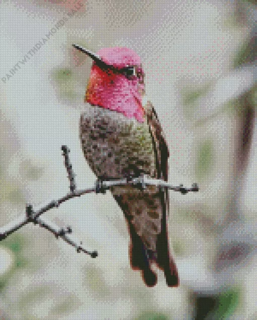 Aesthetic Annas Hummingbird Diamond Painting