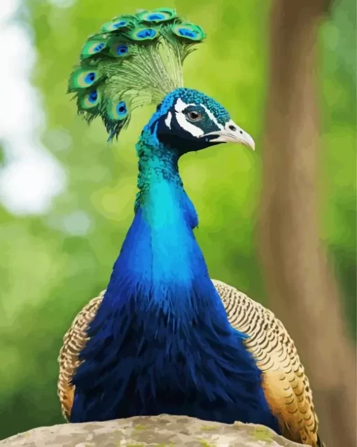 Aesthetic Peacock Diamond Painting