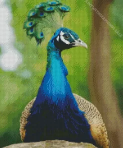 Aesthetic Peacock Diamond Painting