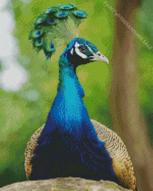 Aesthetic Peacock Diamond Painting