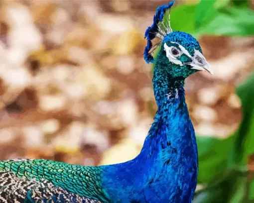 Aesthetic Indian Peafowl Diamond Painting