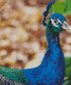 Aesthetic Indian Peafowl Diamond Painting