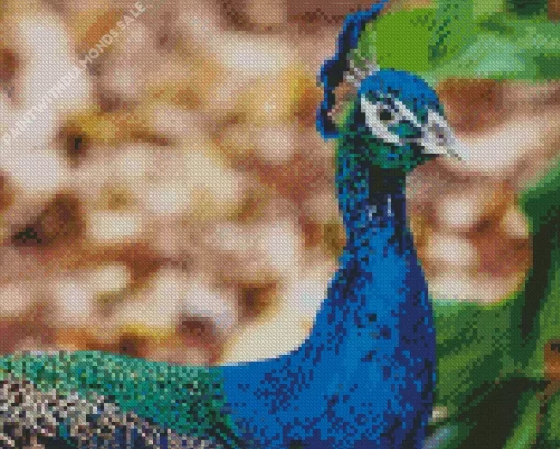 Aesthetic Indian Peafowl Diamond Painting