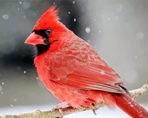 Aesthetic Northern Cardinal Diamond Painting