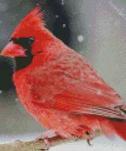 Aesthetic Northern Cardinal Diamond Painting