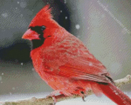 Aesthetic Northern Cardinal Diamond Painting