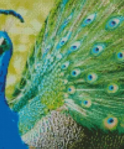 Aesthetic Peacock Bird Diamond Painting