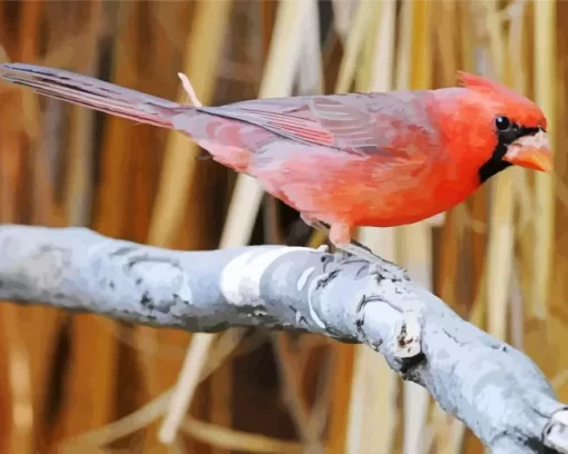 Aesthetic Pyrrhuloxia Cardinal Bird Diamond Painting