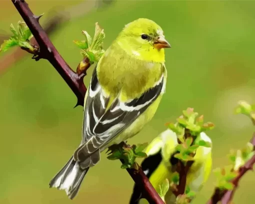 American Goldfinch Bird Diamond Painting