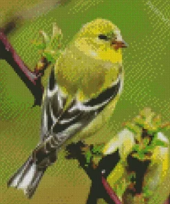 American Goldfinch Bird Diamond Painting