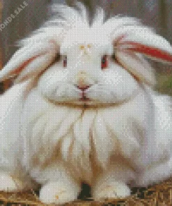 Angora Rabbit Diamond Painting