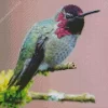 Annas Hummingbird Diamond Painting