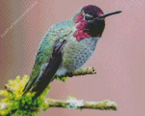 Annas Hummingbird Diamond Painting