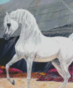 Arabian Horse Art Diamond Painting