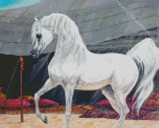 Arabian Horse Art Diamond Painting