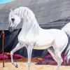 Arabian Horse Art Diamond Painting