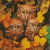 Autumn Group Of Owls Diamond Painting