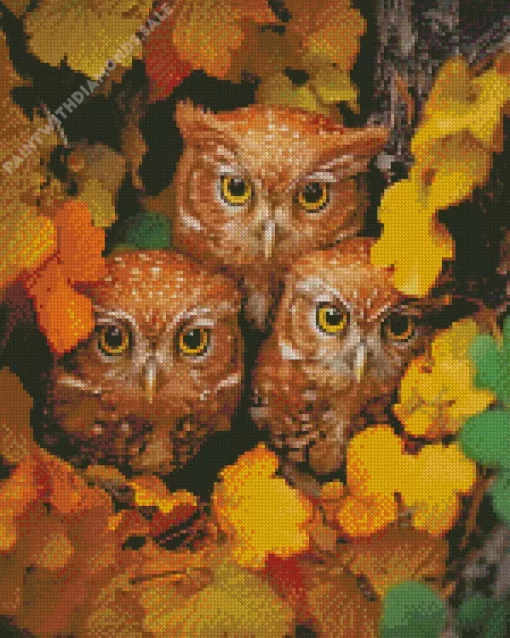 Autumn Group Of Owls Diamond Painting