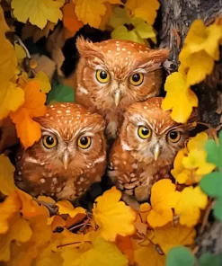 Autumn Group Of Owls Diamond Painting