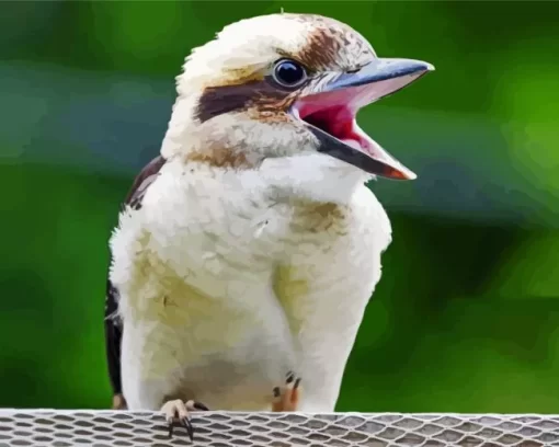 Baby Kookaburra Close Up Diamond Painting