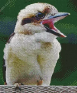 Baby Kookaburra Close Up Diamond Painting