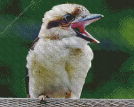 Baby Kookaburra Close Up Diamond Painting