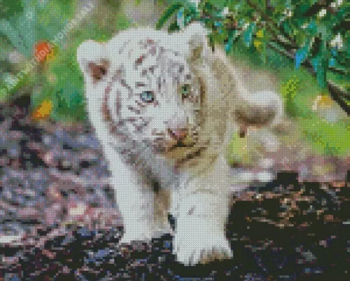 Baby Albino Tiger Diamond Painting