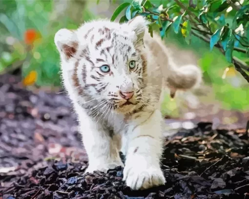 Baby Albino Tiger Diamond Painting