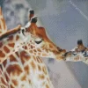 Baby And Mom Giraffe Diamond Painting