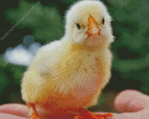 Baby Chick Diamond Painting