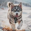 Baby Husky Diamond Painting