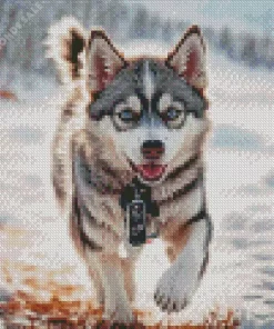 Baby Husky Diamond Painting