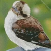 Baby Kookaburra Art Diamond Painting