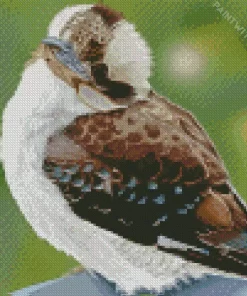 Baby Kookaburra Art Diamond Painting