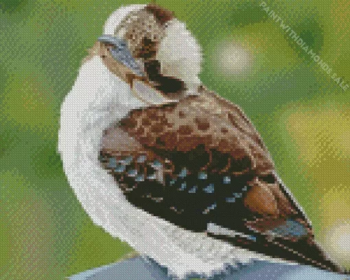 Baby Kookaburra Art Diamond Painting