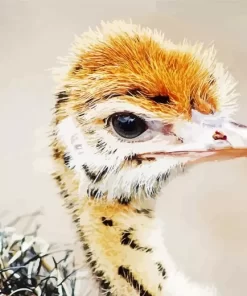 Baby Ostrich Diamond Painting