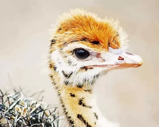 Baby Ostrich Diamond Painting