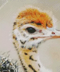 Baby Ostrich Diamond Painting