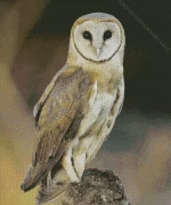 Barn Owls Diamond Painting