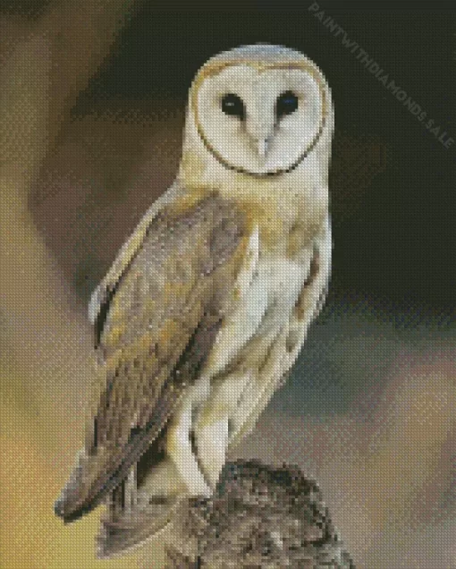 Barn Owls Diamond Painting